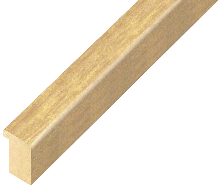 Straight sample of moulding 16NAT