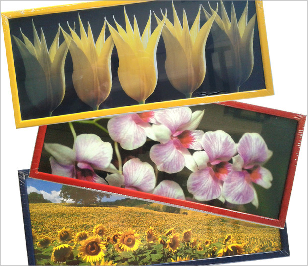 Serie di 10 cornici cm 20x49 con immagini di fiori