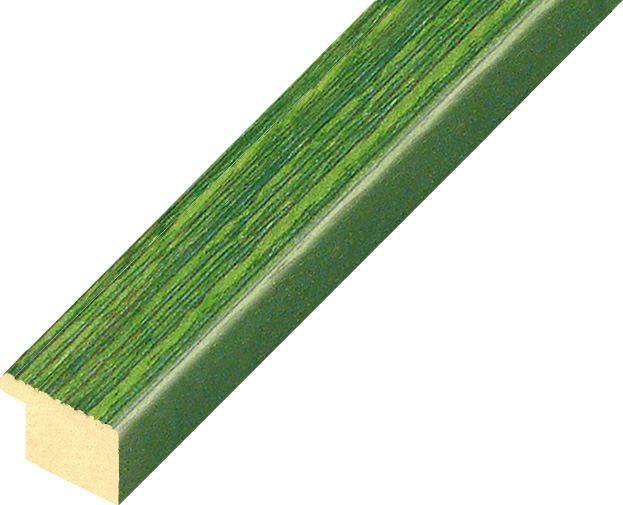 Asta ayous piatta Larg.mm20 Alt.14 - Verde - 20VERDE