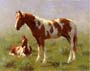 Dipinto: cm 30x40 - Cavalli