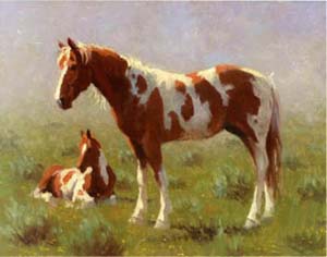 Dipinto: cm 30x40 - Cavalli