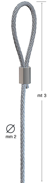 Filo in acciaio con cappio - diametro 2mm - mt 3
