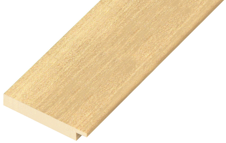 Campione ad angolo dell'asta 6010G