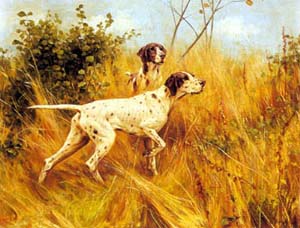 Dipinto: cm 30x40 - Cane da caccia