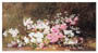 Poster: Boulanger: Apple Blossoms - cm 48x28