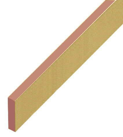 Distanziatore in plastica piatto mm 5x20 - Lunghezza mt 2 - oro