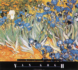 Poster: Van gogh: Iris - cm 80x60