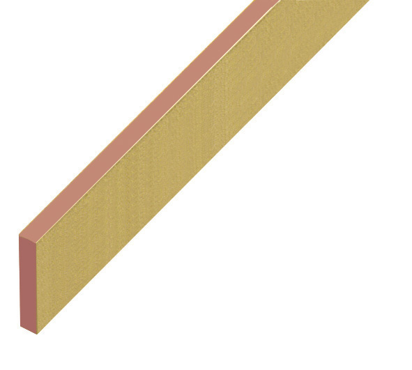 Distanziatore in plastica piatto mm 5x25 - Lunghezza mt 2 - oro - P25ORO