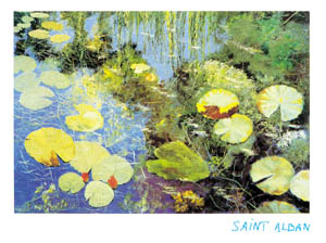 Poster: Saint Alban: Nymphéas à Giverny - cm 80x60