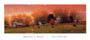 Poster: Knaub: Fall Pasture - cm 100x43