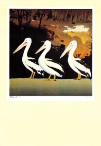 Poster: Ardell: Pelicans - cm 62x89