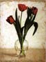 Poster: Darashkevich: Tulipani in vaso - cm 60x80