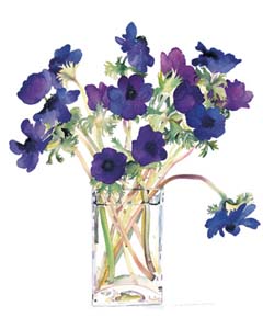 Poster: Winteringham: Purple Anemones - cm 40x50
