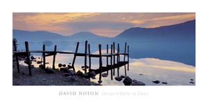 Poster: Noton: Dawn - cm 50x100