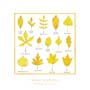 Poster: Kawada: Yellow Leaves - cm 40x40