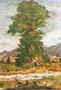 Stampa: Ghedini: L'albero - cm 50x70