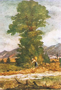 Stampa: Ghedini: L'albero - cm 50x70