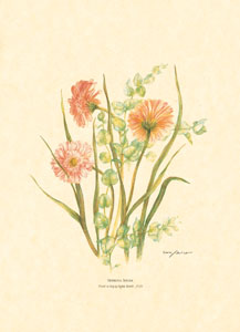 Stampa: Fiori recisi - cm 25x35