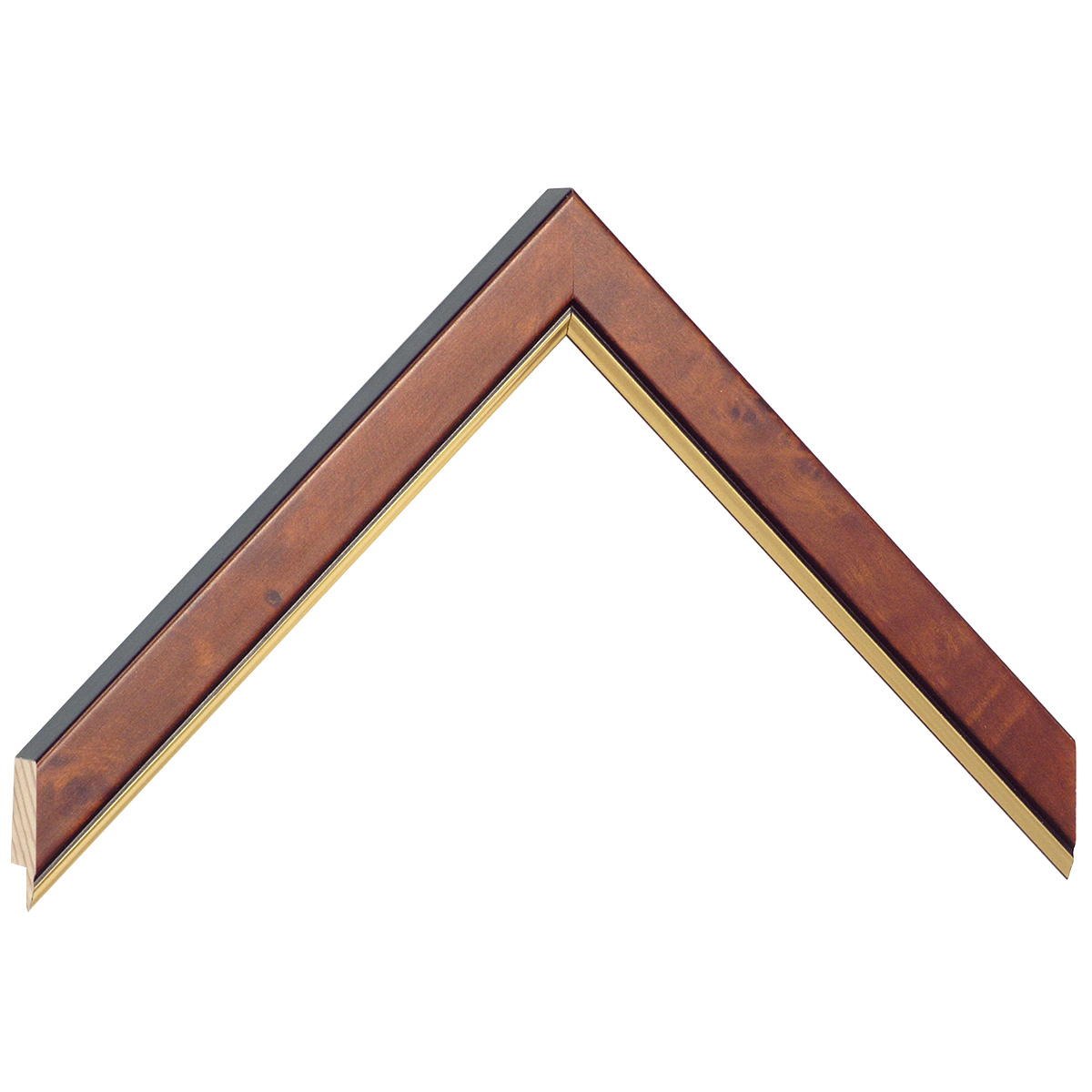 Asta in radica - Larghezza 20mm Altezza 14 - Noce con filo oro - Campione
