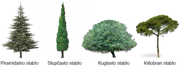 Stabla koja se koriste za okvire