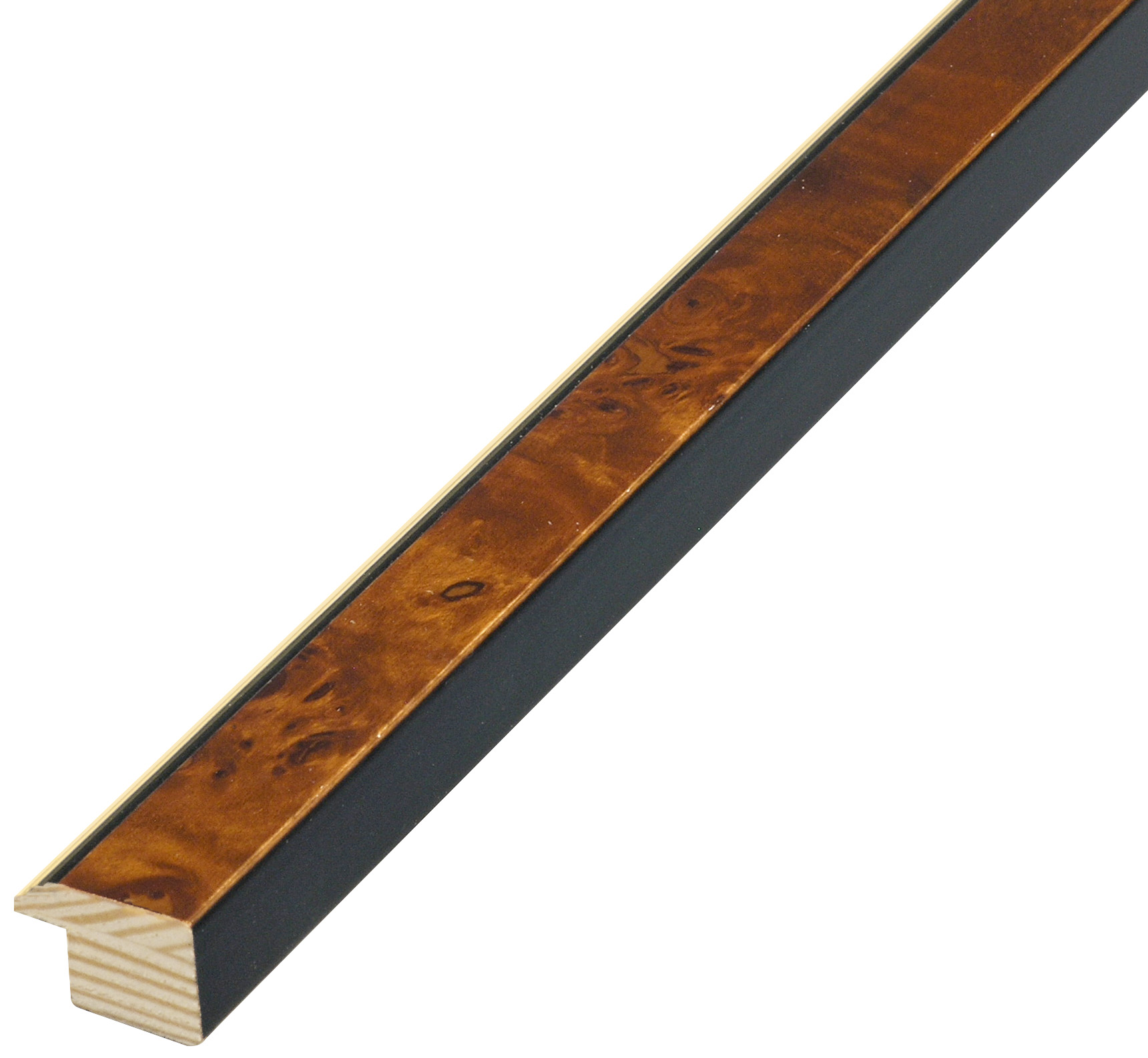 Asta in radica - Larghezza 20mm Altezza 14 - Noce con filo oro